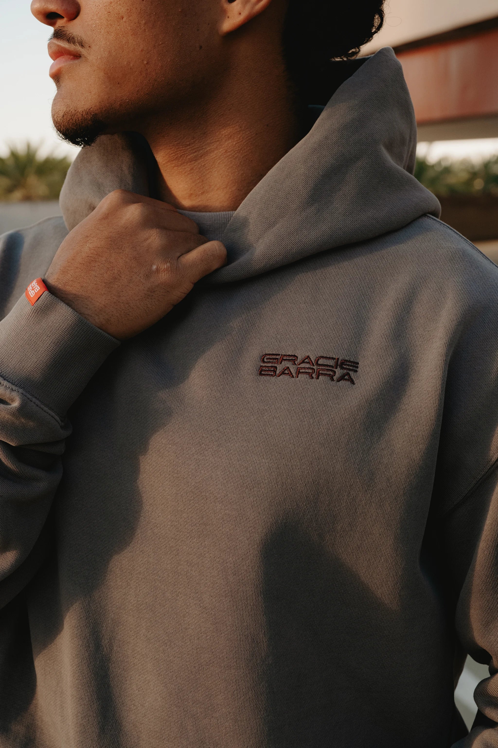 Emblem Hoodie - Grey