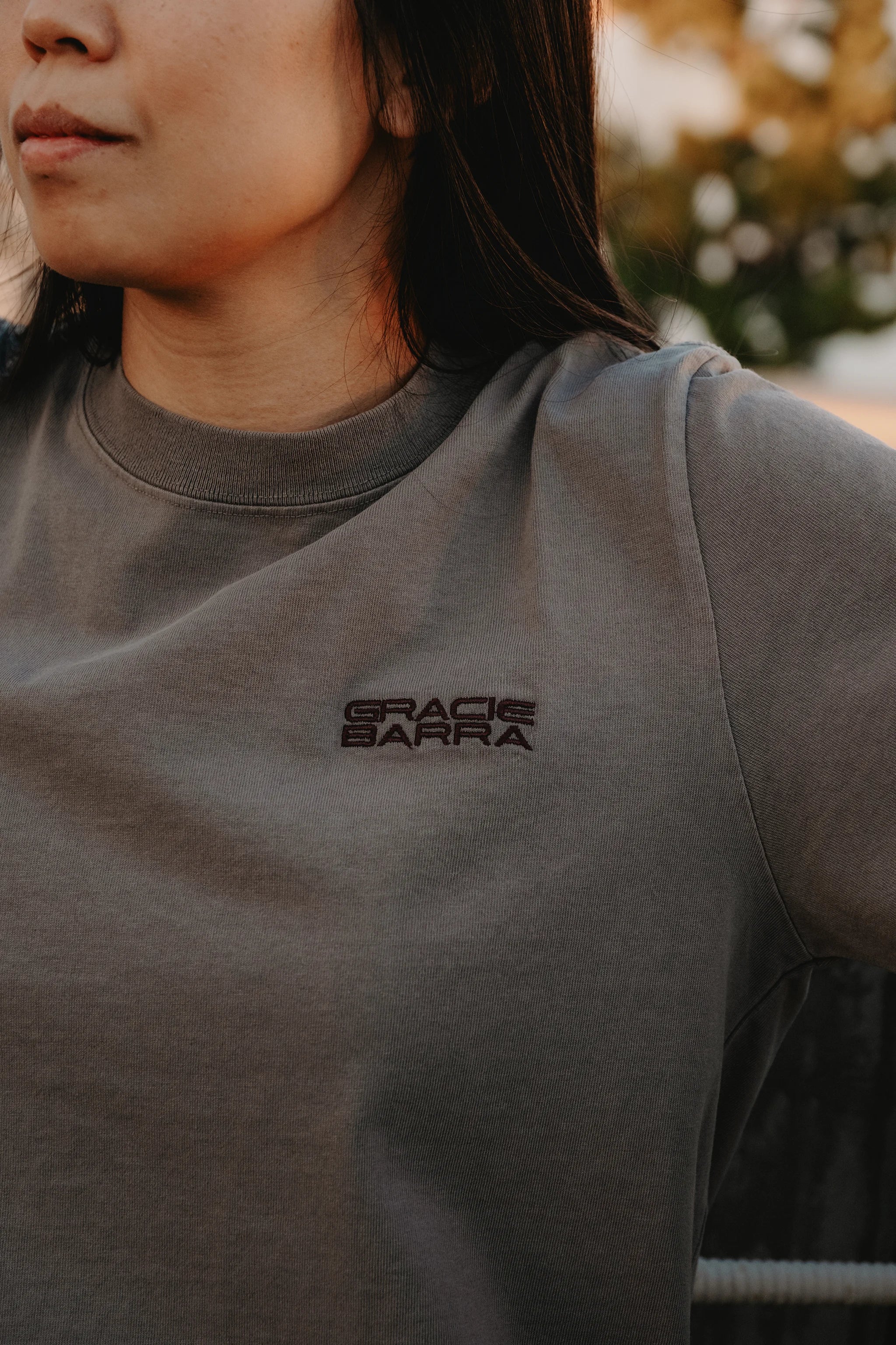 Emblem Womens Tee - Grey