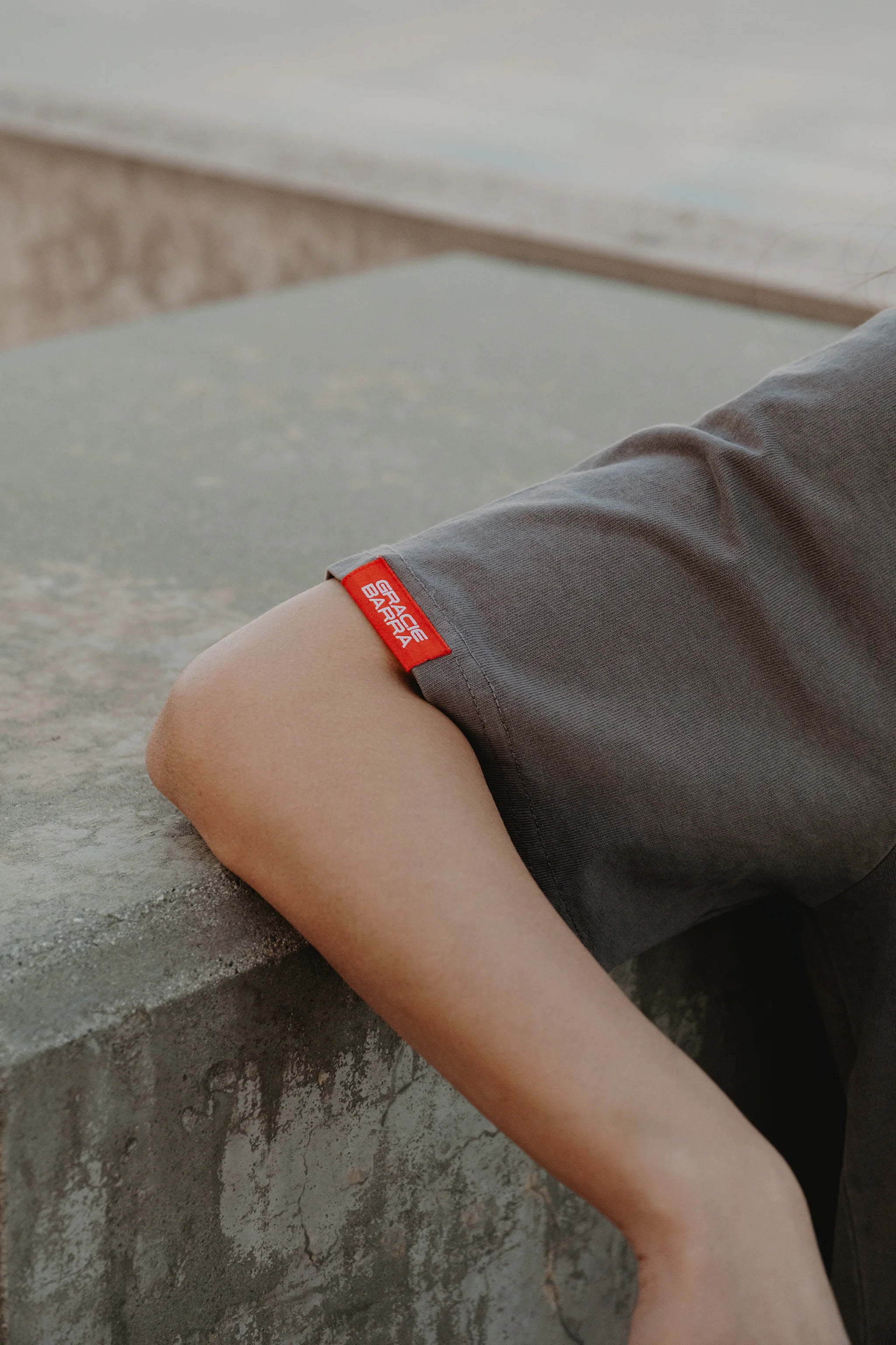 Emblem Womens Tee - Grey