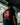 Back view of man wearing black adidas x Gracie Barra Equipe t-shirt with large red GB shield logo outdoors