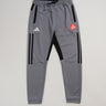 Gray GB Team Track Jogger by adidas with black stripes, red Gracie Barra logo, and drawstring waistband on a light gray background.