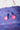Close-up of Purple Sakura Backpack top zipper pulls with Gracie Barra branded logo tags and floral pattern