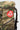 Close-up of the red Barra shield patch with the Gracie Barra triangle logo on the camo Tactical GB4 Backpack Compact